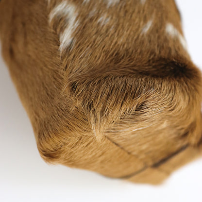 Vintage F/W 1999 Miu Miu Prada Real Fur Mini Crossbody Bag Small Pouch