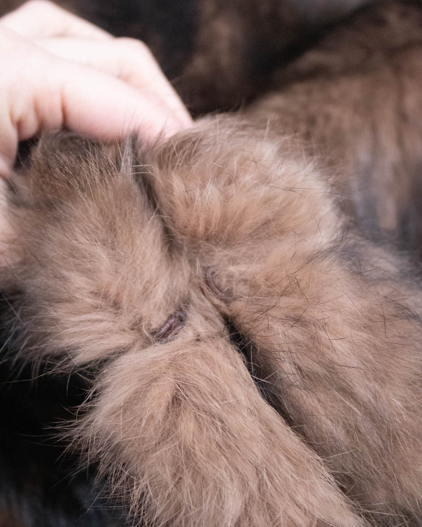 Vintage F/W 2003 DKNY Donna Karan Rabbit Fur Cape Coat / S